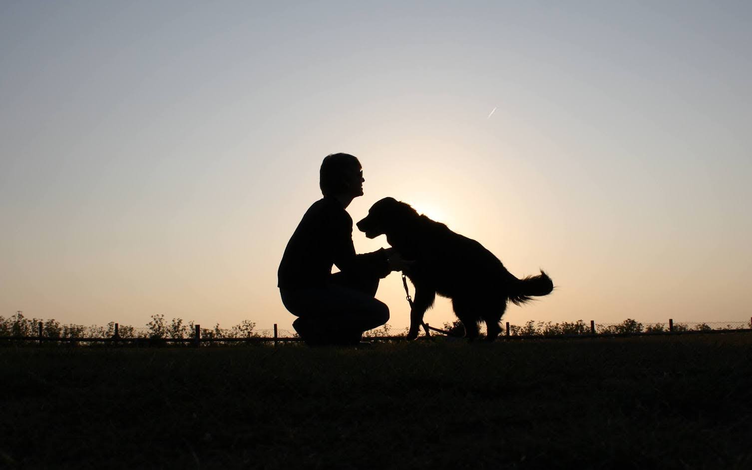 Martine with her fifth Guide Dog, Verity